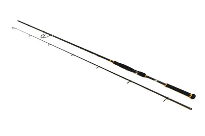 ENTER MONSTER XTREME 2.70M 30-100GR