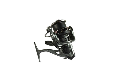 ENTER ELEGANT FEEDER 5000